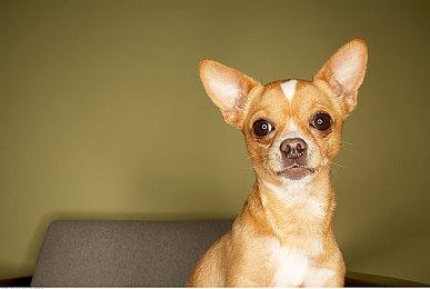 《死亡岛2》开发者正在研究“新游戏+”模式 或在未来更新